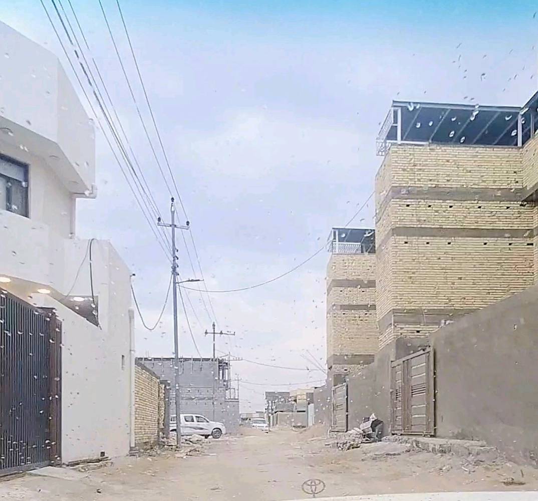 قطعة٢٠٠متر واجهه ١٢و٤٠ نزال١٦ في تنومه صالحية قرب سنتر الهاشمي شوي عن شارع المسبح طابو زراعي عراقي كفالة وكاله بااسم المشتري 
كامله خدمات شوارع مقرنص مجاري 
سعر٥٣
واكو ١٠٠متر ١٠ في ١٠  موقع شارع اسواق جنة
سعر ٢٩ 
 ***********