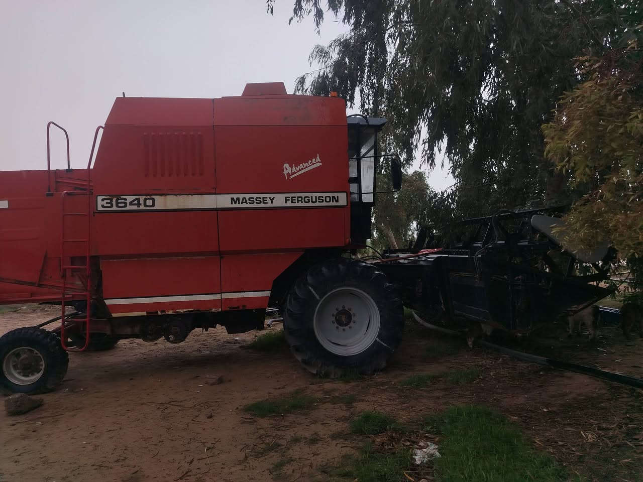 اسلام عليكم حاصده فوركسن ٢٠٠٢ جاهزه ومديومه تبريد المكان سامراء شارع لسلام *********** علمآ الحاصده تبريد ثلج شرط سعره مناسب
