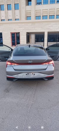 النترا • ٢٠٢٣ • وارد امريكي