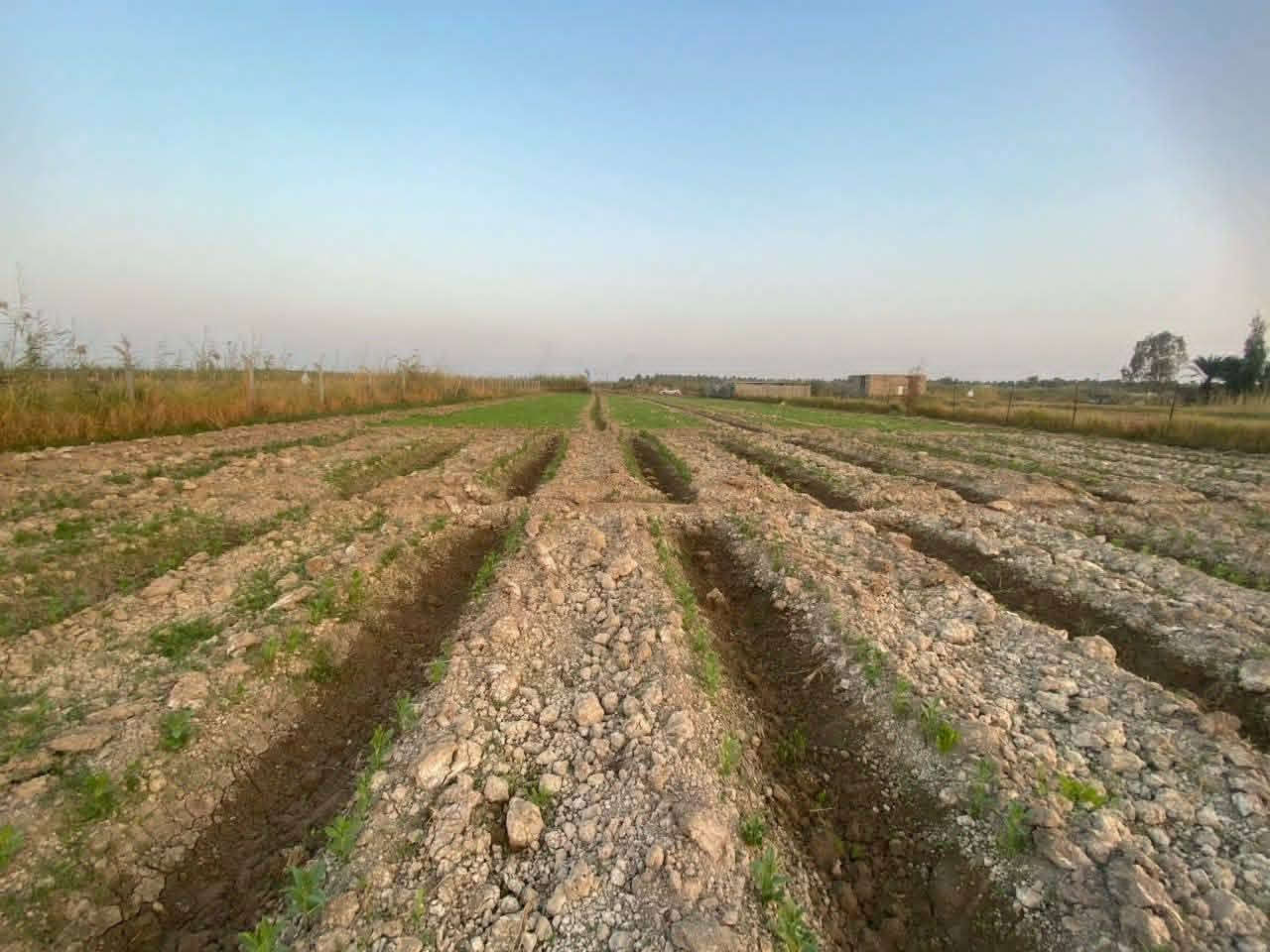دونم ونص #نهاية الحديد القديمة  يتوفر ماء وكهرباء قريبة

وايضا بدأ المكان تنتشر بي المزارع 

#طابو زراعي سند 25 

#السعر ٤٢ وقابل للتفاوض 

ملاحظة الدونم بعيد يصلح مزرعة وابن الريف ممكن يسكنه

لان مو كلش بعيد عن السكن.     ***********

لكيشن https://maps.app.goo.gl/g5Tcv5R5LHCgQzcW6?g_st=it
