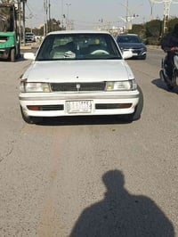 ٦ سلندر • رقم كربلاء • حي العباس