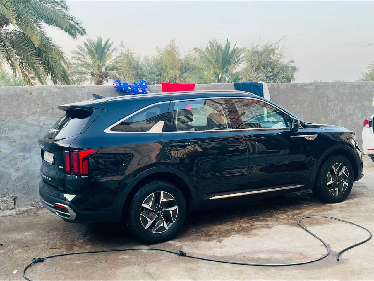 سلام عليكم 
سورنتو 2022 رقم بغداد تحويل مباشر 
هايبرد بانزين محرك تيربو 
فول موصفات بس بنراما مابيه 
ظرر بنيد فقط بدون ارباك 
بصمه تشغيل. ع بعد
7 راكب كشنات سياحي 
تدفئه تبريد كشنات كهرباء 
كير موس 
4 انظمه قياده 
سايد بريك دكمه 
فورويل 
شفتات ستيرن 
لدات نهاري
سياره هواي موصفات بيه كلش 
السعر 235 وبيه مجال مراوس ترهم *********** واسط مكان السياره
