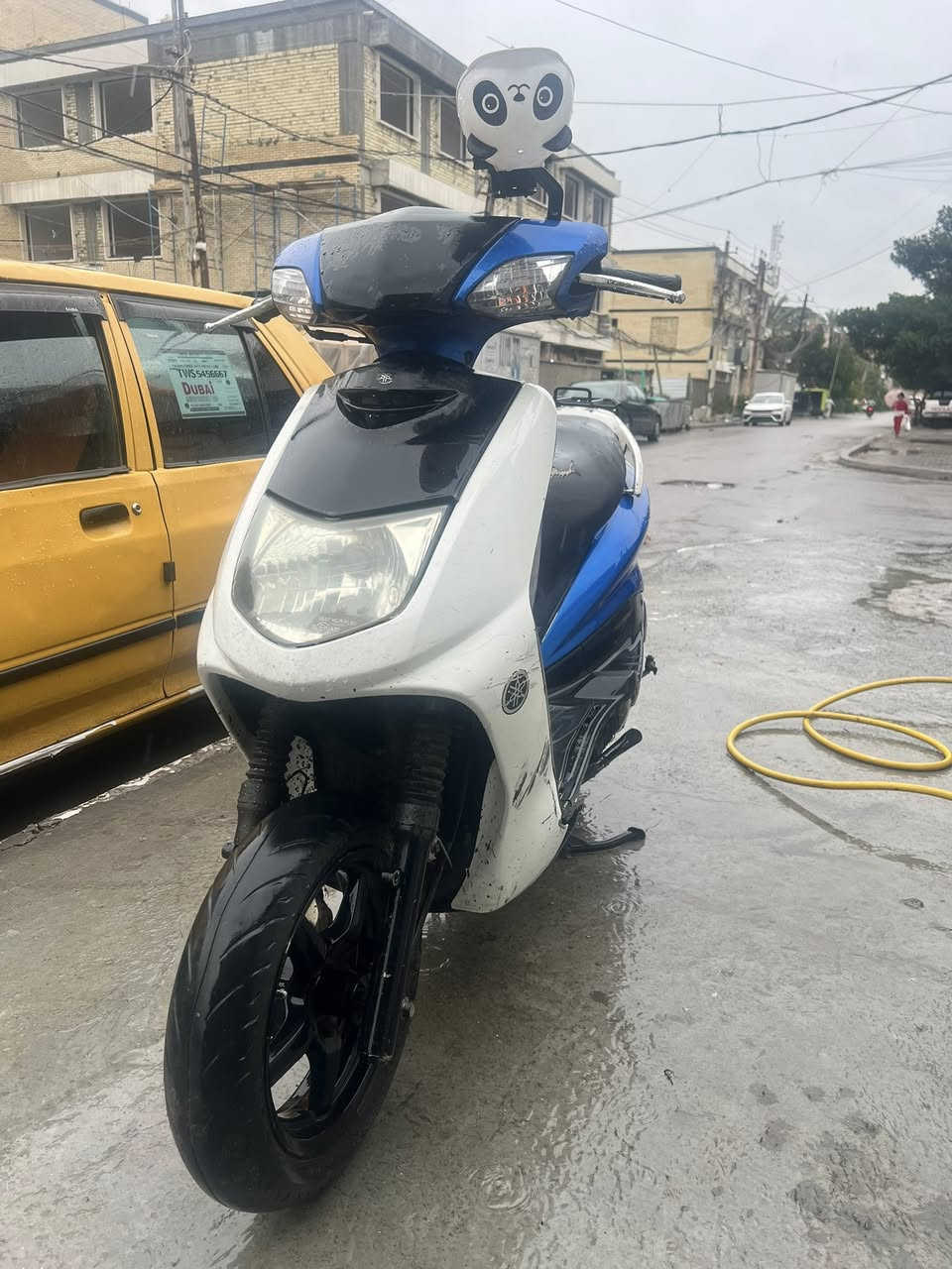 سكنس نثية للبيع مكفوله ماشي بيها معدل سرعة 120 مكينه ناعمه دراجة كلشي بيها عل بلادي نقوصات بيها بسيطة كلش 
العنوان بغداد الكاظمية
***********
