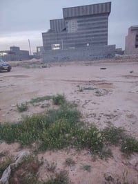 الانبار حديثة • ٢٥٠م • طابو صرف