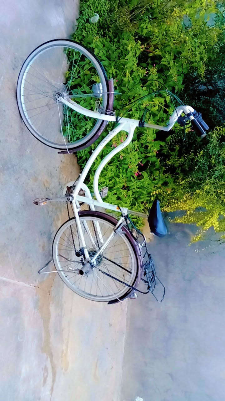 بايسكل للبيع لون ابيض للبيع حجم 26السعر خاص للاستفسار الاتصال بل رقم ***********
