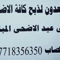 مستعدون لذبح كافة الاضاحي ليلى عيد الأضحى المبارك 07718356350