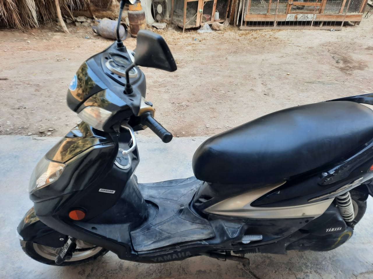 السلام عليكم
دراجه سكنس فحل نوزل ام الطلاعات موديل 2012 
دراجه مكفوله كفاله عامه 
المكان بابل حله 
رقم ***********وبي واتساب 
السعر خاص واتساب
