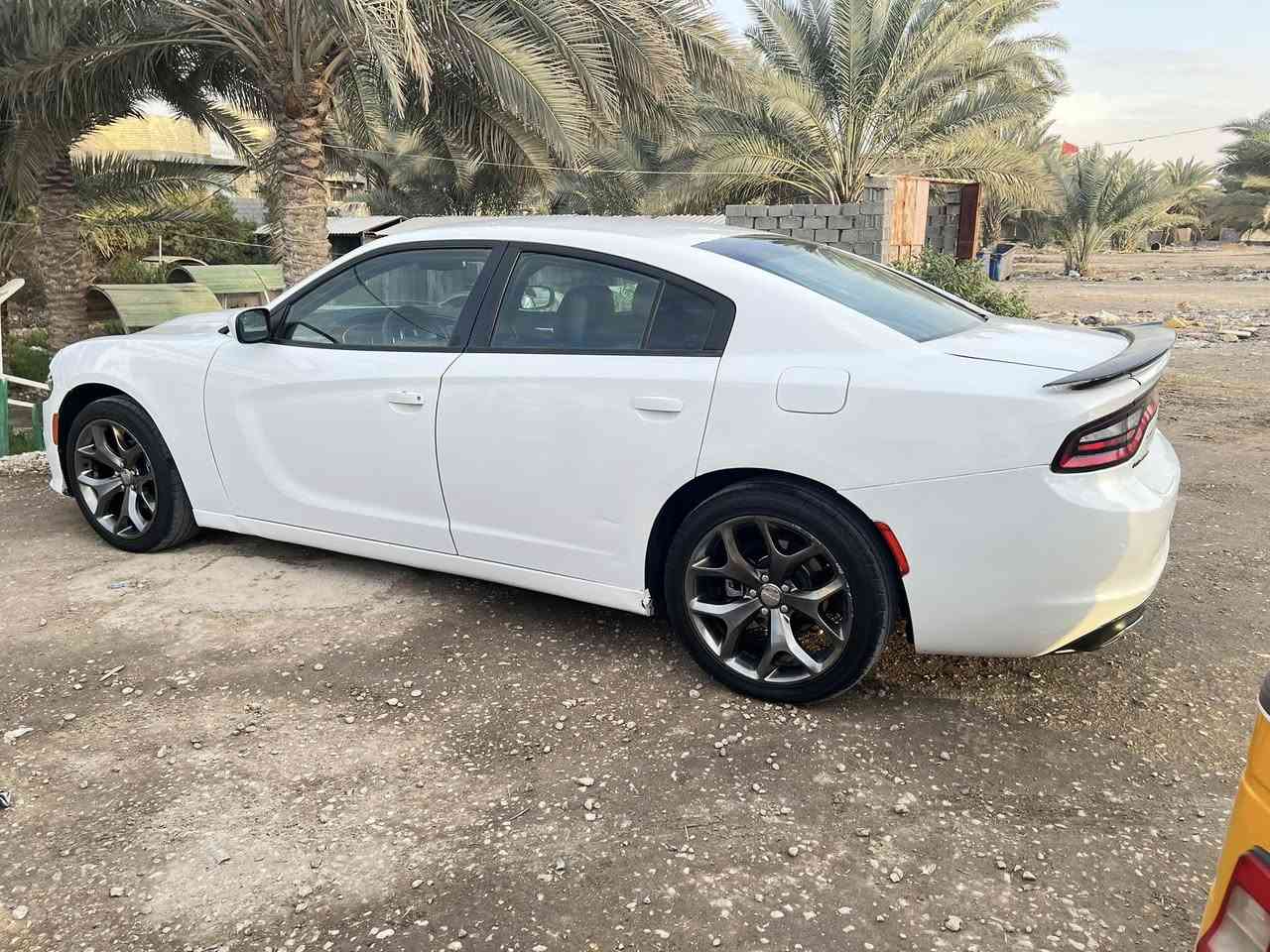 السلام عليكم 
دوج جارجر موديل 2016 حادثها الجاملغات الخلفيه بدون الصندوق لاحوض ولا قبق الجنطة راسلني ادزلك صور الحادث السيارة سنوية باسمي الرقم الدولي الجديد رايدها ب158 بيها مجال بسيط تجي تشوف تكلب تقتنع بيك خير وتدلل العنوان بابل بالتلفون ما انهي سعر 
رقم الهاتف *********** او ‭0772 816 5374‬
