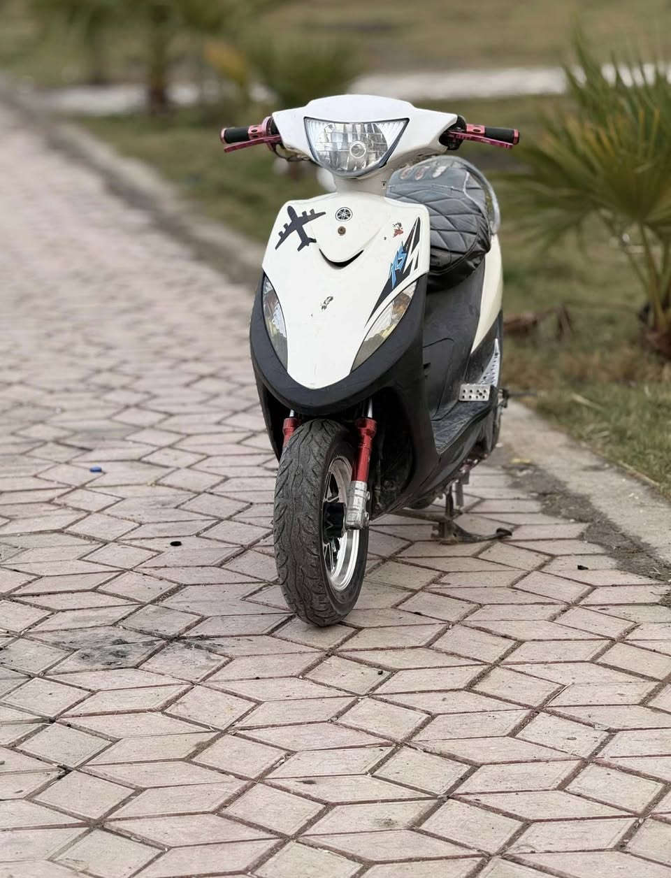 دراجه للبيع كفاله عامه بوشه 49 بلاد مامفتوحه دراجه شلعه ومعدل وبيهه تزويد خارجي السعر 600 وبيهه مجال *********** بس وتساب فقط
