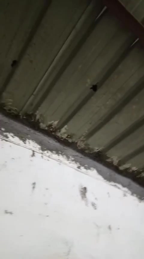 مكلفه بالنشر سكف غرفه جينكو مع اربع شخاطات للبيع


**إذا كنت صاحب هذا الإعلان وتريد حذفه لأي سبب، رجاءا أرسل رسالة إلى الدعم الفني**