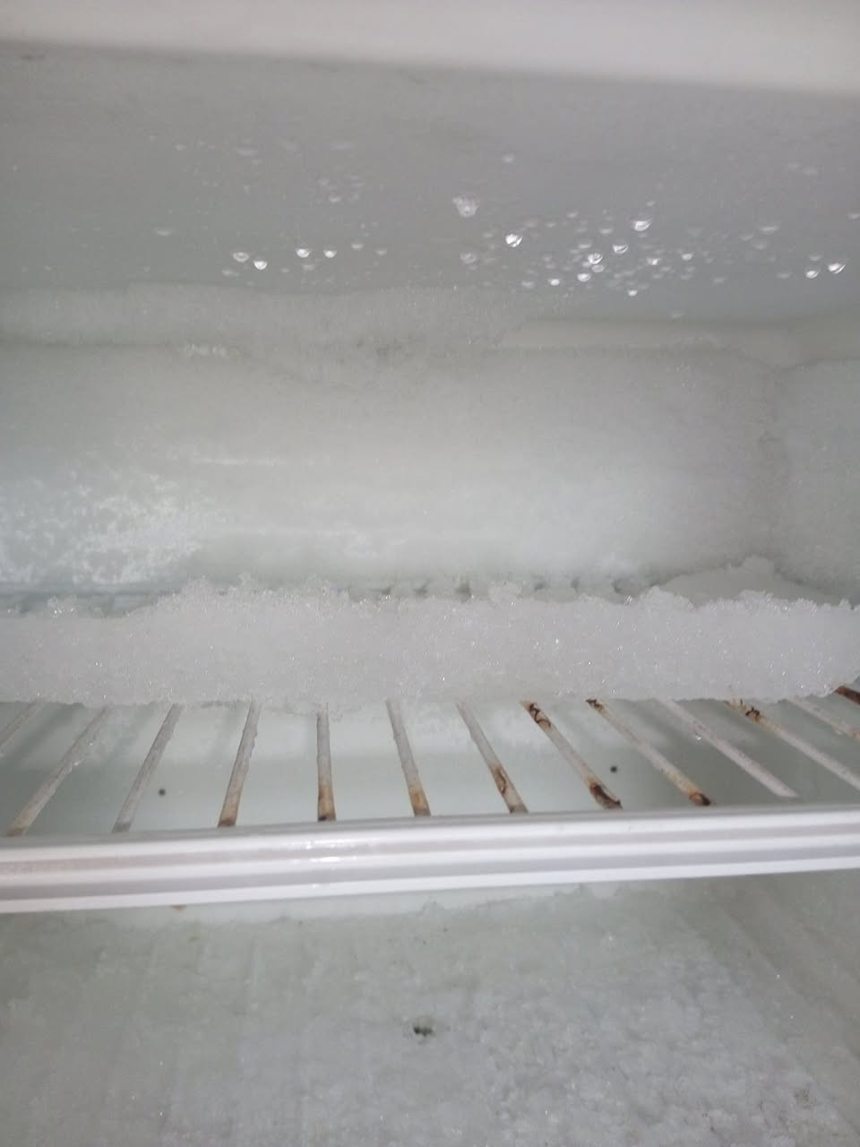 ثلاجة للبيع الفريز تجميد فول بس الجو قليل تبرد ادفعو سعرو


**إذا كنت صاحب هذا الإعلان وتريد حذفه لأي سبب، رجاءا أرسل رسالة إلى الدعم الفني**