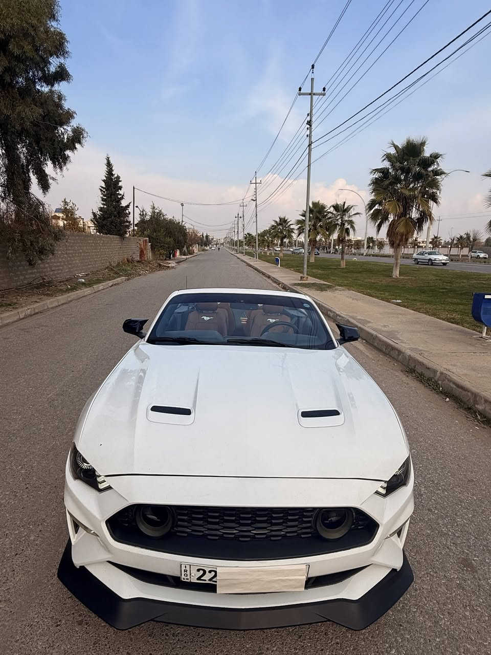 ((ارخص و انضف)) فورد موستنك موديل 2018 فول فول برنيوم بكل العراق 🤍🐎
((سعرر 127 ورقه  ❤️‍🔥)) بلاش بلاش والله 
موصفات: 
(أيكوو پوست 4 سلندر)
سياره جديد دينار مصرف مابيه كير مكينه بشرط 
فول 1/1 بريميوم
اربع سلندر 2.3 تيربو
سياره كامل كلوب و نشره 🟪🟥🟧🟫🟨
لون ابيض 🤍 
سقف كشف
كشنات جلد 
كشنات كهرباء 
كشنات تبريد وتدفئة
شاشة كبيرة 
نضام كاربلي واندويد
دشبول 7 الوان
لايت زنون بلادي
خمس مودات قيادة
شفتات بالستيرن
كير 10 نمر
تبريد فول ومناخ منفصل
حساسات خلفية
كامرة خلفية دوارة
تشغيل عن بعد مع بصمة ابواب 
داخل لونين 🧡 🖤
علامة الحصان ضوئية بالمري
هيتر بالمري
((كير مكينة بشرط تريك وين ماا تريد )) (مكينه ماا مفتوح) بشرط
(رقم سنوي جديد رقم اربيل تحويل اول يوم)) سنوي لل 2030
ماشية 81 ميل
حادثه :: بيه (فقد 2 قطعة صبغ) (3 قطع تبديل) حادث خفيف جدا هذا رقم شاصي ⬇️
1FATP8UH5J5155399

سعرر سياره بلاش والله (127 🔥)

عنوان سياره ((زاخوو قريب عن دهوك 💟))

للاستفسار اتصل بهذا رقم

***********

واتساب موجود 24 ساعه اني بل خدمه
