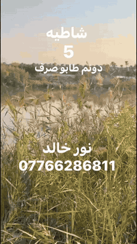 🌴 *فرصه استثماريه ذهبيه على الشاطئ!* 🏖️
🗺️ *٥ دونم شاطيه طابو صرف سند ٢٥، موقع استراتيجي ومميز*
✅ *مخدمه بكامل الخدمات:*
- شارع تبليط
- كهرباء
👈 *مناسبه لقضاء العطله مع العائله أو تحويلها لمزرعه خاصه*
⏱️ *موقع قريب جداً: ٢٠ دقيقه فقط عن جسر الطابقين*
🌿 *بعيد عن الضوضاء والهوسه، هدوء وراحه نفسيه*
💰 *سعر مناسب للاستثمار*
📞 *للاستفسار: نور خالد ************
 #بغداد #بيع #الدوره #عقارات #اربيل
