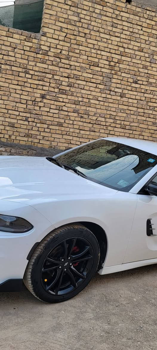 ويل مع تاير جديد ١٠٠/١٠٠
حجم 20
للمراوس بويل نجمة 18 مكان ناصرية


**إذا كنت صاحب هذا الإعلان وتريد حذفه لأي سبب، رجاءا أرسل رسالة إلى الدعم الفني**