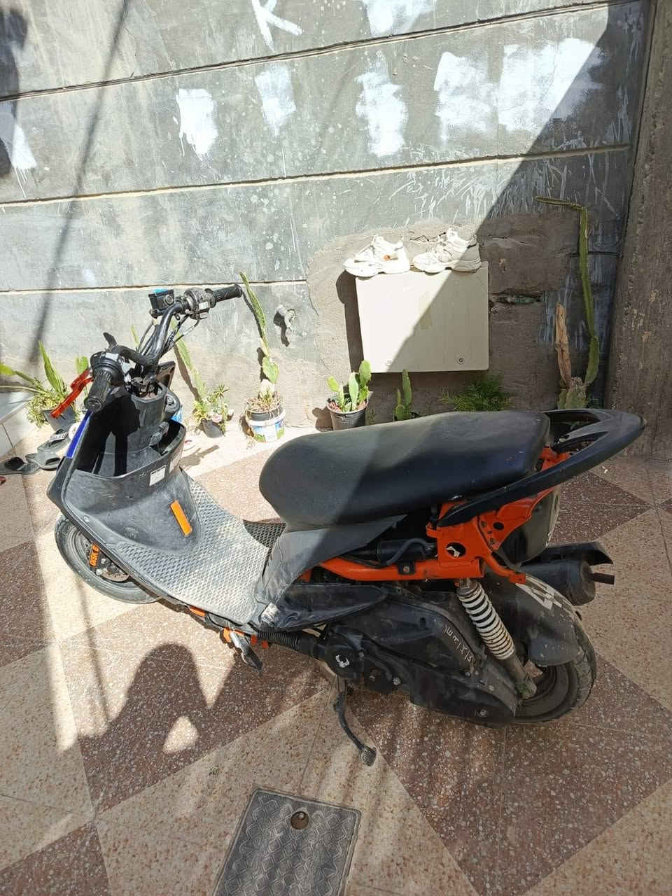 سلام عليكم شباب ماكس عدله للبيع بوشه 55 جانت بلادي وسويته 55 دراجه نضيفه شوفت عينك ول يريدهه بي خير ويدلل سعر خاصصصص👋🏿🫨. مكانيي بابل الاسكندريه ✅


**إذا كنت صاحب هذا الإعلان وتريد حذفه لأي سبب، رجاءا أرسل رسالة إلى الدعم الفني**