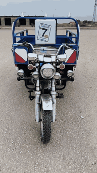 ستوته • موديل ٢١ • أوراق أصلية