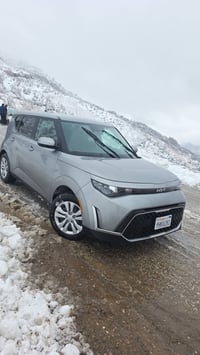 سول ٢٠٢٣ • شواصي سليمه • تترقم كردستان