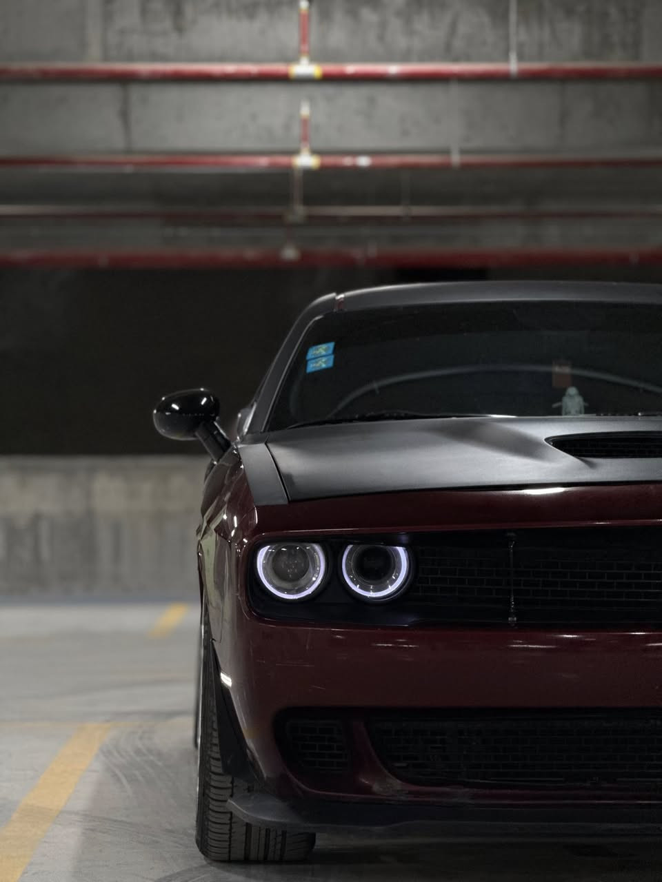 السلام عليكم
جالنجر 2021 RT
ماشيه ٥١ الف ميل مكينه كير اكسل تبريد حداديه كفاله بشرط ويل نجمه تايرات الخلفيه ٣١٥ الاماميه ٢٥٥ دسكات جدد حداديه ريسنك دبلات صفر مال سكات باك ماعايزه برغي السياره 
شاشه جبيره سوبر تراك باك كامره حساسات قطعتين تبريد غرفه هيلكات جديده كشنات تدفئه ستيرن تدفئه السياره تو كلر وستوها مسويلها بولش رقم بغداد باسمي شرط المداور 
منضومه زنون عالي ناصي 
برمجه وتفريغ ودبات سود طلقات 
لحيه دوسات 
سبولير جنطه وجامه خلفيه
تخم كفرات بلاك بيبان ومرايا
حادثها خمس قطع ابيع حزام 
مكاني النجف الاشرف 

بيع او مراوس
متواجد فقط عله رقم وبيه واتساب مكلف بنشر 
***********
