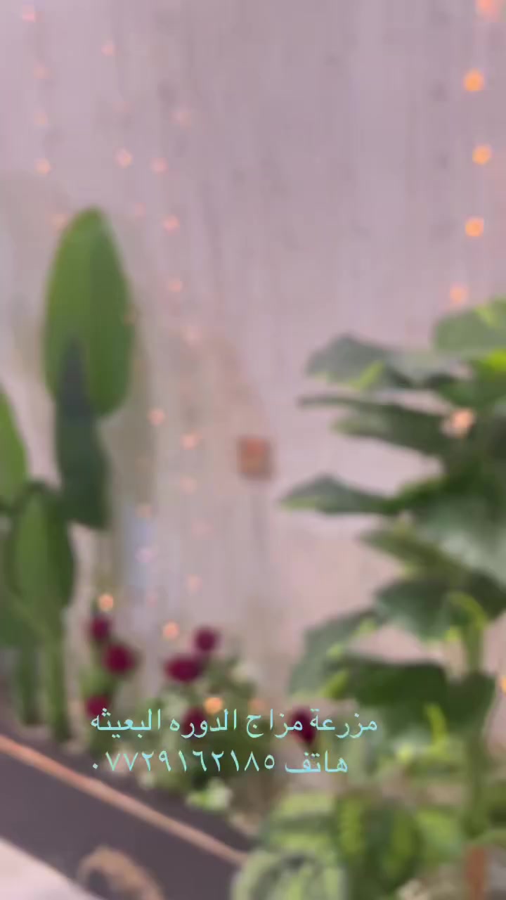 مزرعة  مزاج الدوره البعيثه  سعر الشفت ١٥٠ الف فقط توفر حجز بسعر مناسب طيلة ايام الاسبوع المزرعة موثقة بتطبيق اجرلي للحجز  ***********
