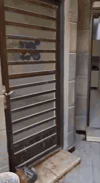 بيت للايجار 100 متر طابق واحد
الموقع  بغداد سريع حي العامل خلف مسبح الرافدين 
للاستفسار  
*********** اتصال او واتساب 
*********** اتصال او واتساب
متواجد على الاتصال فقط و الواتساب
