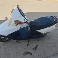 سبيسي • ماليزي • شغالة