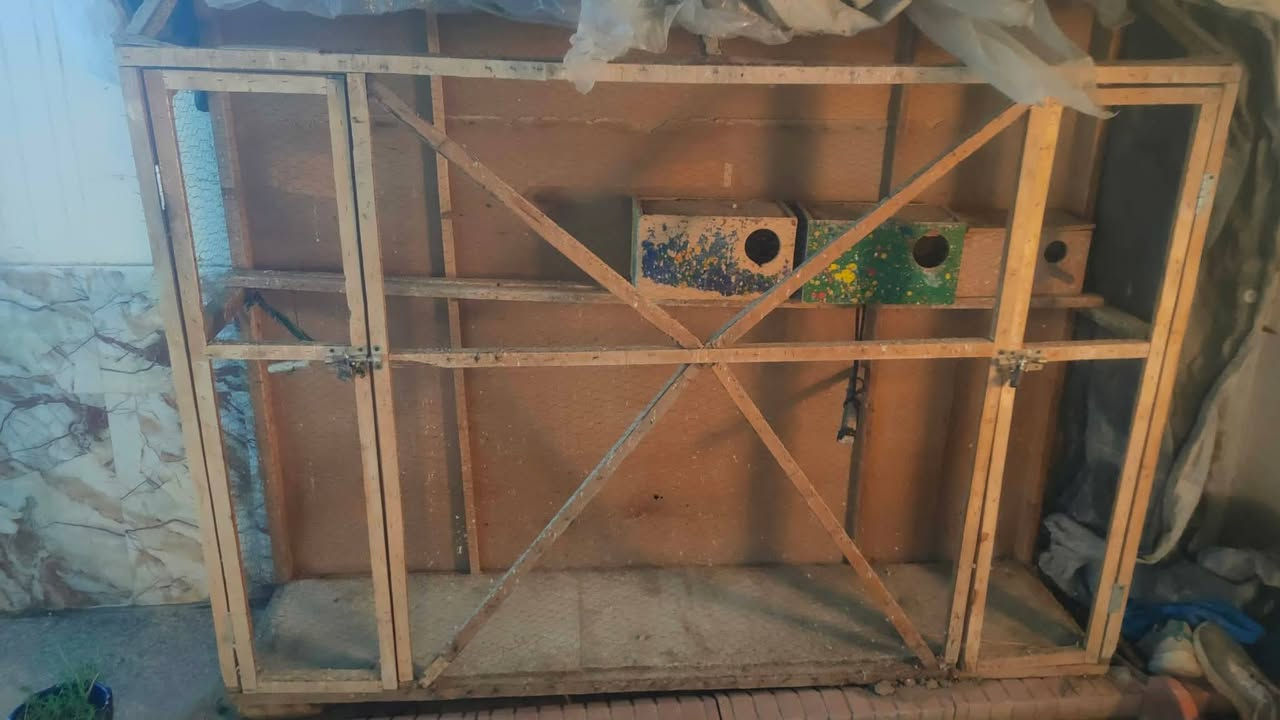 قفص كبير ونضيف باب عدد2+ بيوت عدد3 السعر 40 وبي مجال مكاني الصالحيه


**إذا كنت صاحب هذا الإعلان وتريد حذفه لأي سبب، رجاءا أرسل رسالة إلى الدعم الفني**