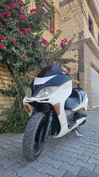 فورزا • ٢٥٠ • ٢٠٠٨