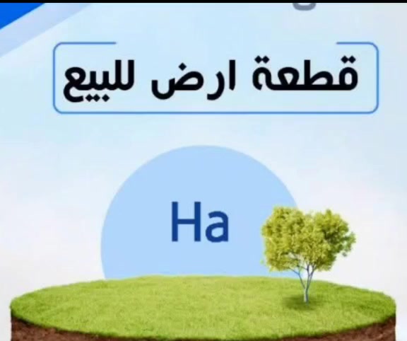 🔴#قطعة أرض سكنيه للبيع  
🔴#المساحة (200)متر♦️10×20
 🔴#موقع الأرض سامراء حي ( المربعه ) من جهة حي الخضراء 
💫 تطل على شارع عرض 15 متر
🎗 #الارض توزيع رسمي💯
 ✨️سند 25 تحويل او وكاله من صاحبه مباشر
 🤚يعني مو 2004
🔴#الخدمات : 
⚠️ماء
⚠️ كهرباء 
⚠️مجاري 
⚠️ للاستفسار اكثر يمكنكم مراسلة الصفحة 🌺او الاتصال على الرقم #***********
#الجميع
