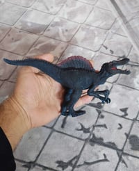 ناصريه مركز • متفرقات