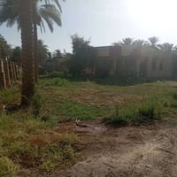 مزرعة ٣٥٠٠م • طابو زراعي • سند ٢٥