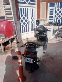 فراشه فحل • شغاله • البصره الزبير