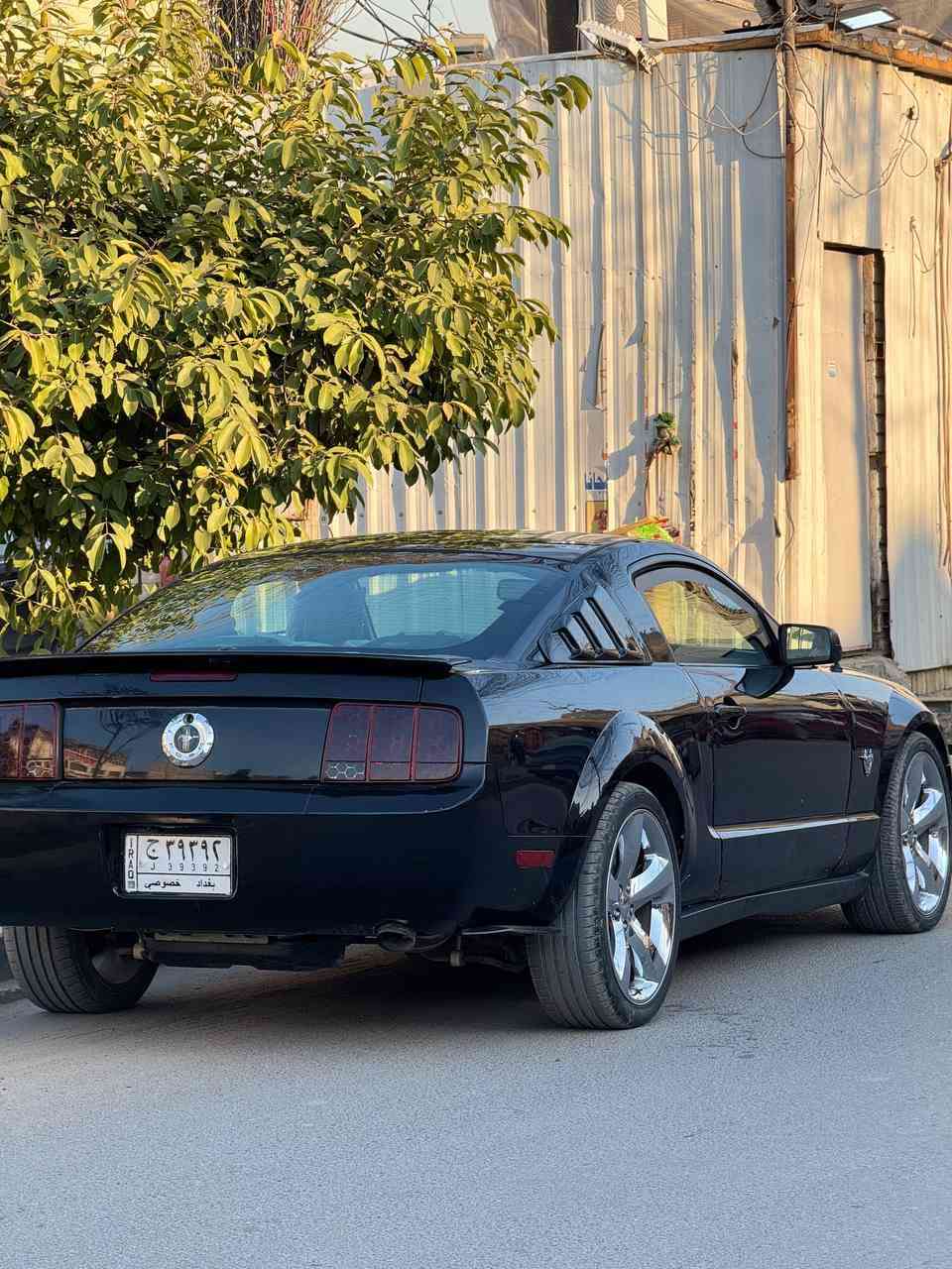 سلام عليكم
موستنج 2009 
كير محرك كفالة
 تبريد محور چارجر يعني ثلج   
مواصفات 
1 مري كهرباء 
2 داخل جلد ماروني
3 تحكم ستيرن جهتين 
4 كشن السايق كهرباء 
5 انارة داخلية بلادية 5 الوان 

الأضافات 

1 كامرة خلفية 
2 ويل كب حجم 20 كروم  
سيارة مال بيت مداخلة استعراض نهائياً ولا معدل عليهة بلادية 

السيارة مكفولة من الضربة غير ضربه بالدواسه الايمن 
داخلة كلين 
وهنا بلعراق 
نصبغت حزام  للجمالية  

السعر    68 $   وبيهة مجال بسيط 

بغداد الطالبية مقابل مسبح الصفا 
***********
