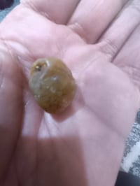 زوعات حيه للبيع قيم واخذ 07712054808