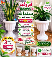سندانه • ٤٠سم • ابيض