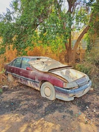 ١٩٩١ • كربلاء • مشروع وطني