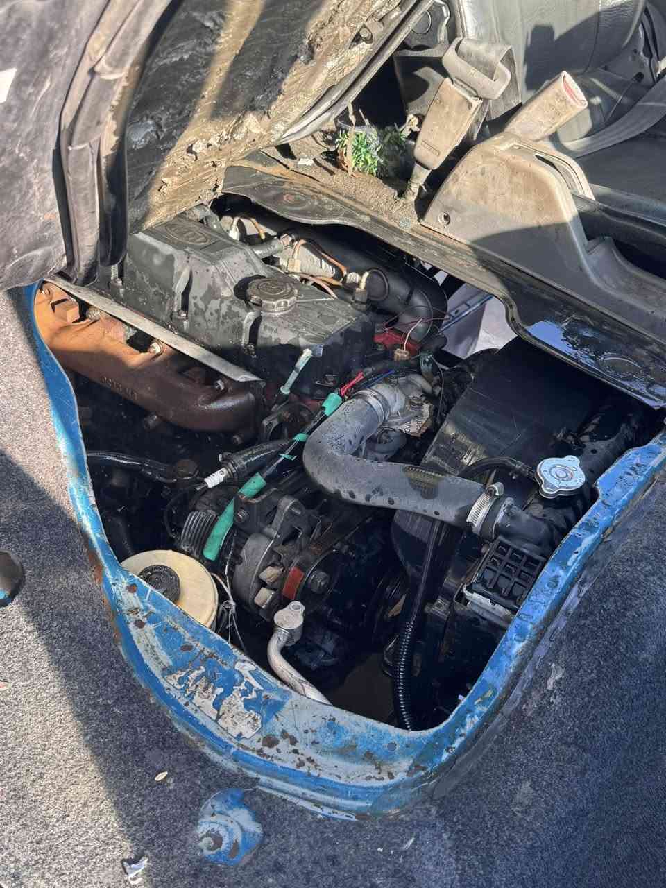 السلام عليكم للبيع فقط
ام عيون 2001باسمي رقم بغداد تحويل ثاني يوم سنويه جديده 
مكفوله وخير من الله سعر 68 
مكاني بغداد ***********
