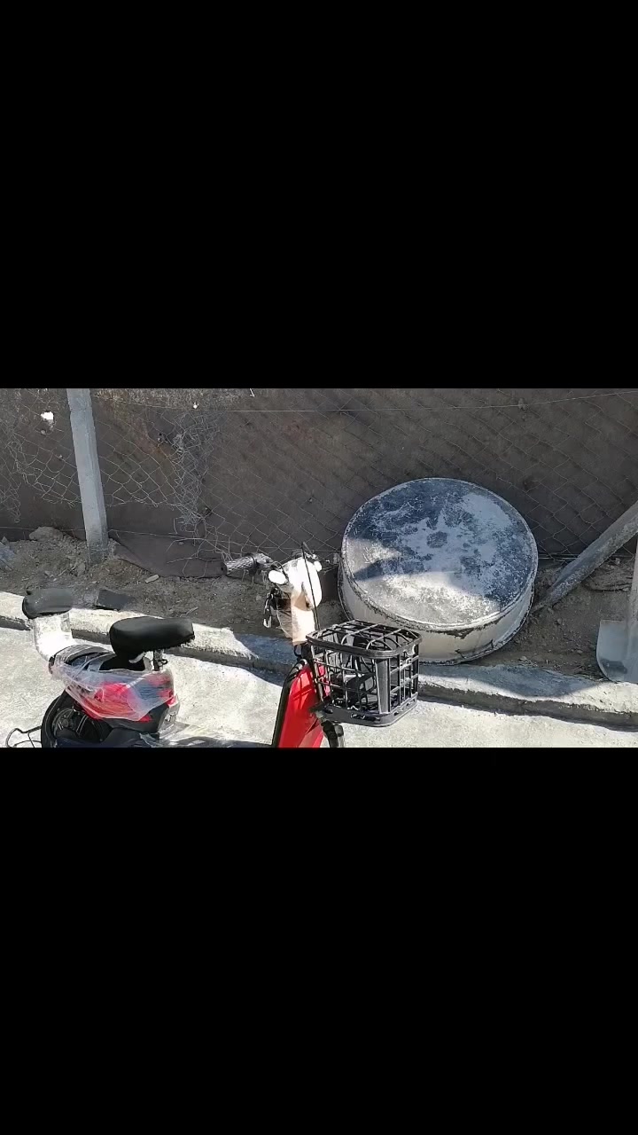 سلام عليكم  باسكل شحن نضيف للبيع موديل 2019 سعر 200 بي مجال سريعه قويه


**إذا كنت صاحب هذا الإعلان وتريد حذفه لأي سبب، رجاءا أرسل رسالة إلى الدعم الفني**