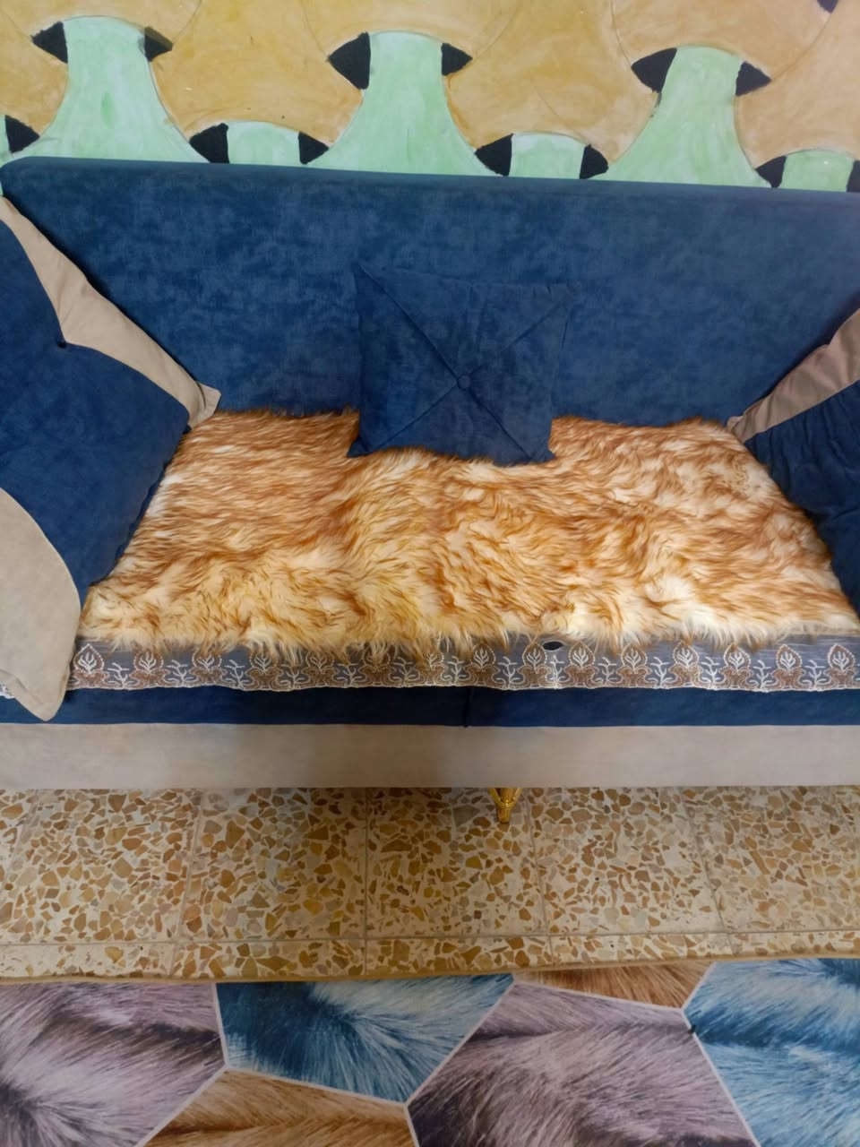 تخم للبيع جديد كلش اي ضرر مابيه يجي 10 مقاعد مكانه البصره ابي الخصيب تواصل خاص


**إذا كنت صاحب هذا الإعلان وتريد حذفه لأي سبب، رجاءا أرسل رسالة إلى الدعم الفني**