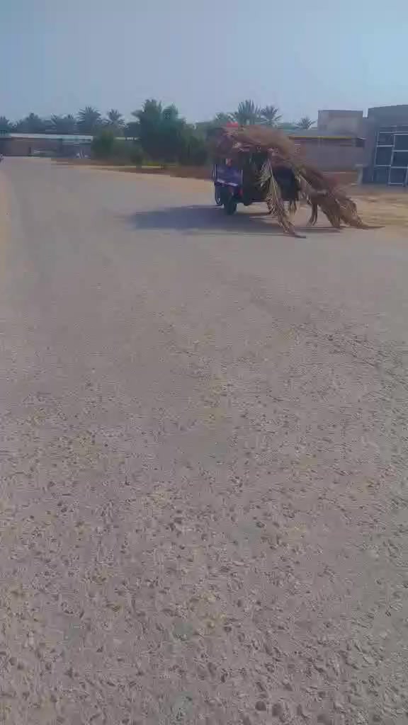 14 دونم طابو زراعي سند 25 باسم شخص واحد
بابل خيكان الغربي 
وجه الارض على شارع خيكان الغربي 23 متر 
السعر كلش مناسب (( الدونم ب15 مليون ))
***********
