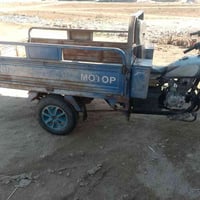 ستوته • 2019 • كوت