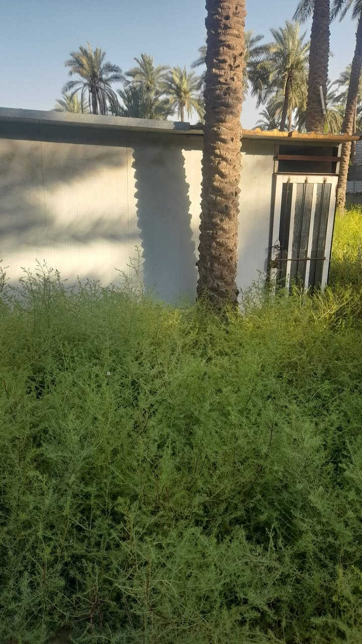 سلام عليكم كرفان للبيع ٥×٤ محافضه بابل ***********
