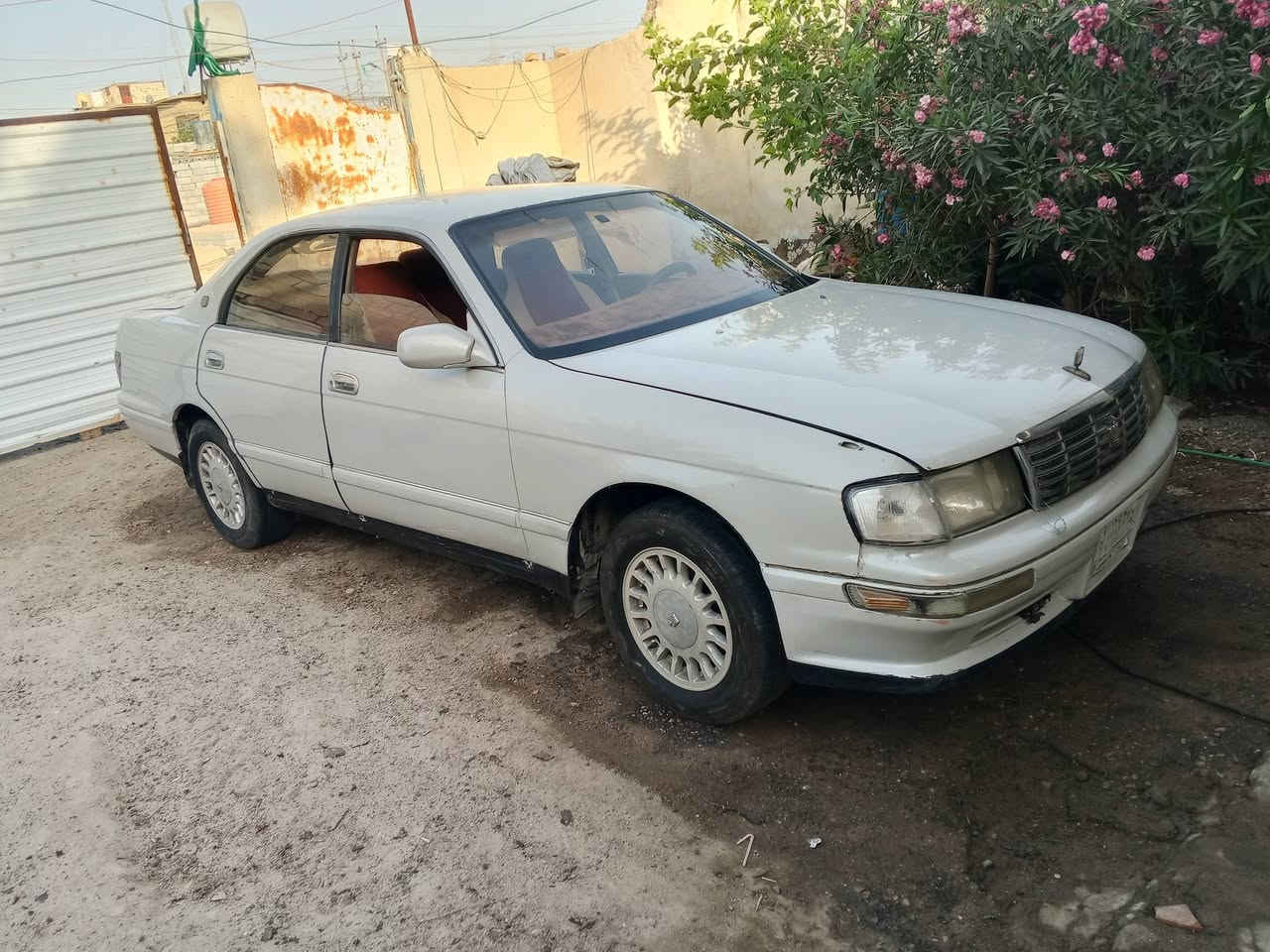 تفاصيل بل صوره
