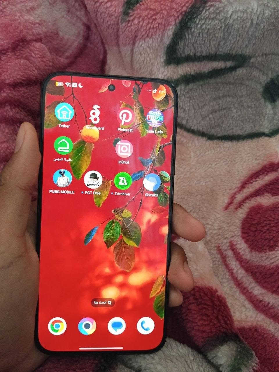 بوكو اف سفن ذاكره 512للبيع سعره 500وبي مجال


**إذا كنت صاحب هذا الإعلان وتريد حذفه لأي سبب، رجاءا أرسل رسالة إلى الدعم الفني**