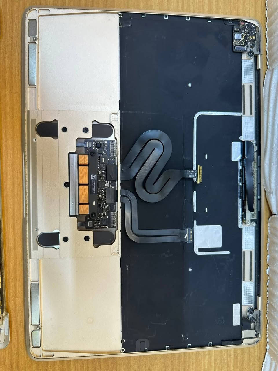 سلام عليكم من رخصة الادمن....
تحياتي للجميع... لابتوب ماك بوك macbook air A1534  
ناقصه شرايط وكييلات شاشة والباور 
هيجي ابيعها على وضعها 150000 وشكرا ....


**إذا كنت صاحب هذا الإعلان وتريد حذفه لأي سبب، رجاءا أرسل رسالة إلى الدعم الفني**