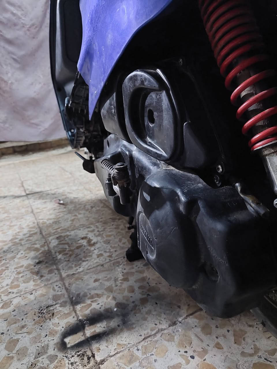 للبيع فراشه فحل مجفته سعرها 300 وبيها مجال الإسكندرية الحب يراسلني أو يتصل .
***********
