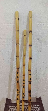 توجد نايات للبيع الكميه محدوده الكميه محدوده  التعليم مجاني من خلال في...