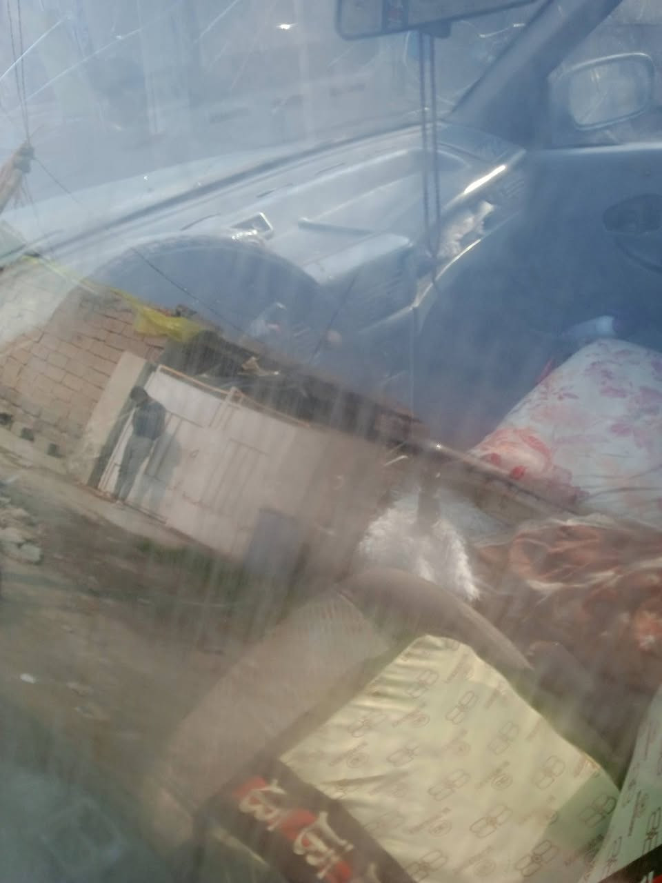 السلام عليكم دايو سلو للبيع او مراوس السنويه 26رقم ديالى راعيه موجود في الديوانيه السعر 25بيه مجال مصفر تأخذ جاهزه فقط تبخير قليل المكان كوت رقم الهاتف ***********
