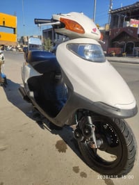 سبيسي ياباني • مكفولة • كوت الزهراء