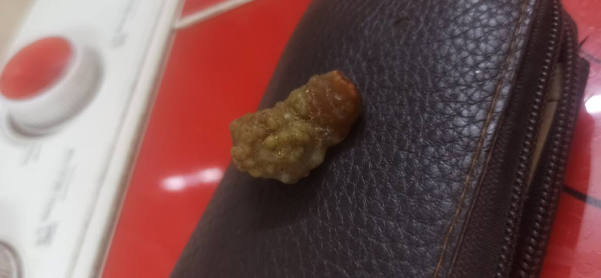 زوعه حيه البيع خاص مفتوح


**إذا كنت صاحب هذا الإعلان وتريد حذفه لأي سبب، رجاءا أرسل رسالة إلى الدعم الفني**