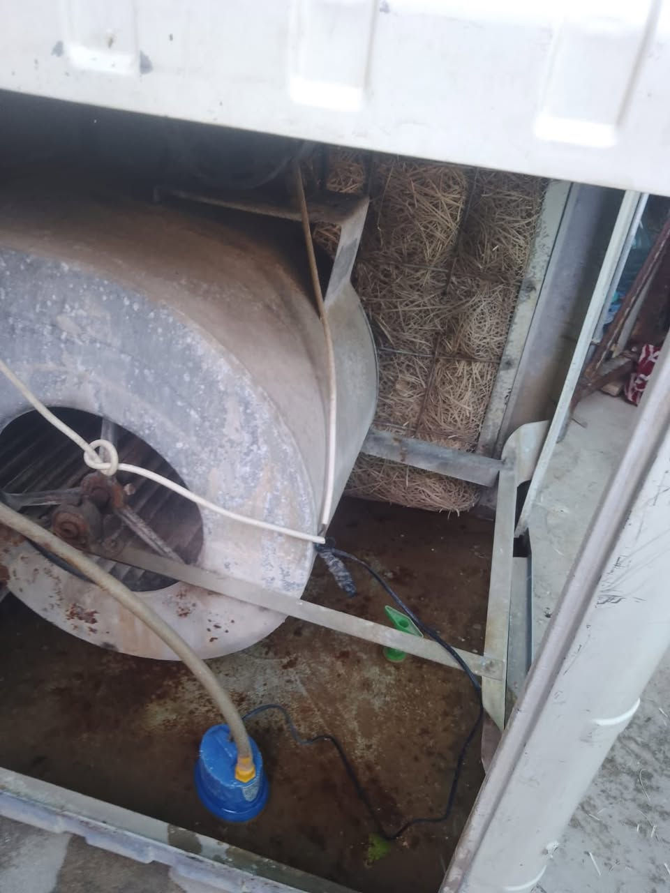 مبردات عدد اثنين شرط الشغل وهوى بارد بأسعار حلوه الزركه السوبر ٦٥ بي مجال والبيضه ٧٥ بيه مجال


**إذا كنت صاحب هذا الإعلان وتريد حذفه لأي سبب، رجاءا أرسل رسالة إلى الدعم الفني**